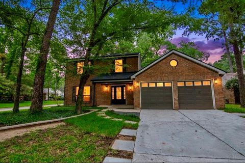 Photo of 3 Raindream Place, The Woodlands, TX 77381 (MLS # 27820760)