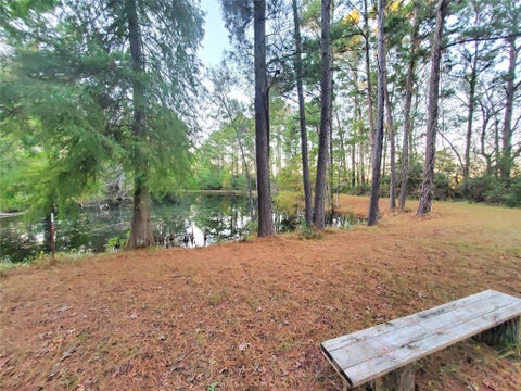 Photo of 400 Pine Forest Acres Dr, Trinity, TX 75862 (MLS # 32697330)
