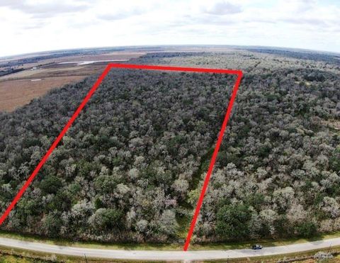 Photo of 0 County Road 133, Van Vleck, TX 77482 (MLS # 5684505)