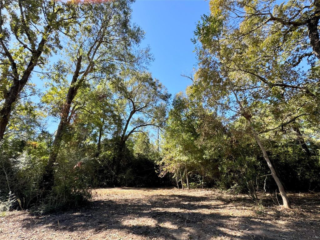 Photo of 9572 State Highway 146 S, Livingston, TX 77351 (MLS # 28198894)