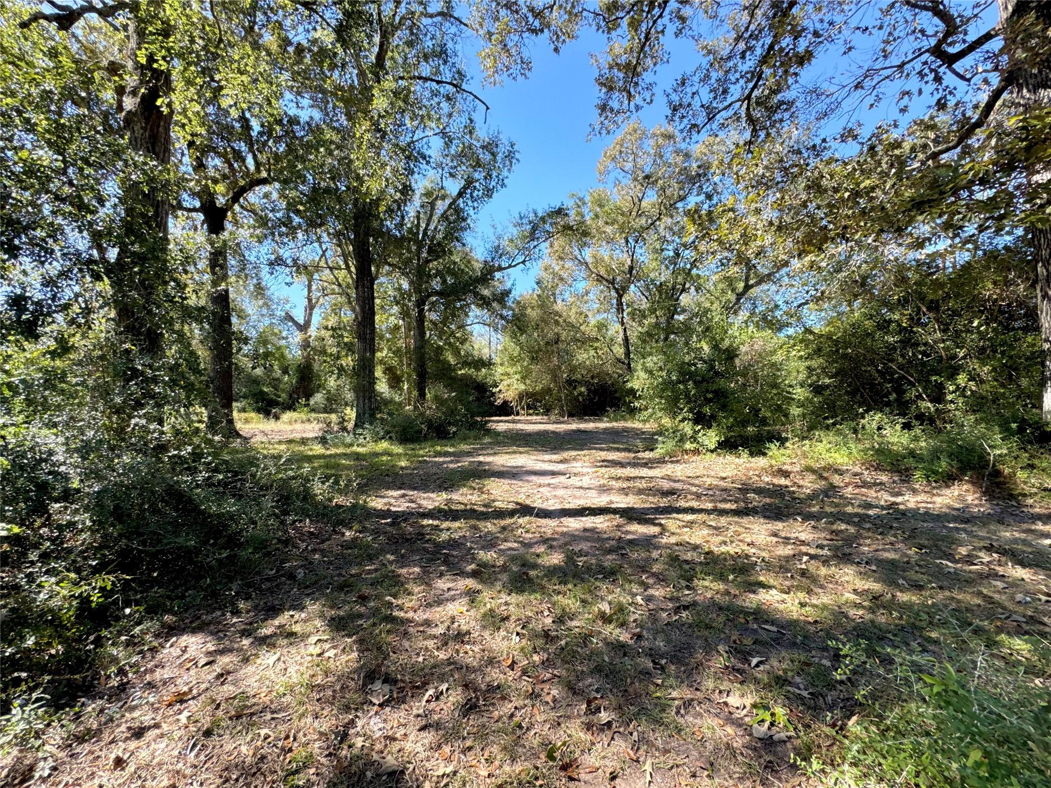 9572 State Highway 146 S