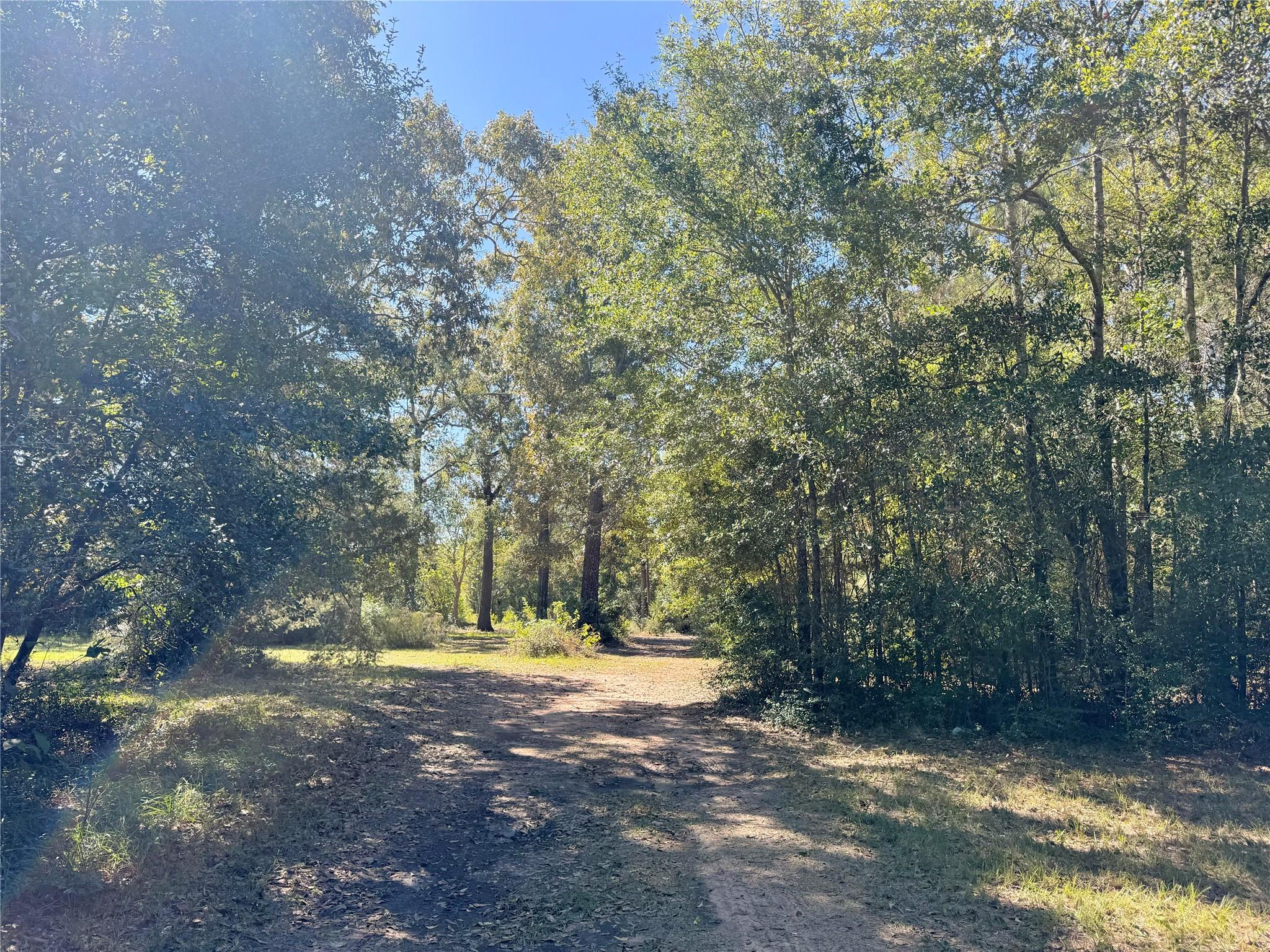 9572 State Highway 146 S