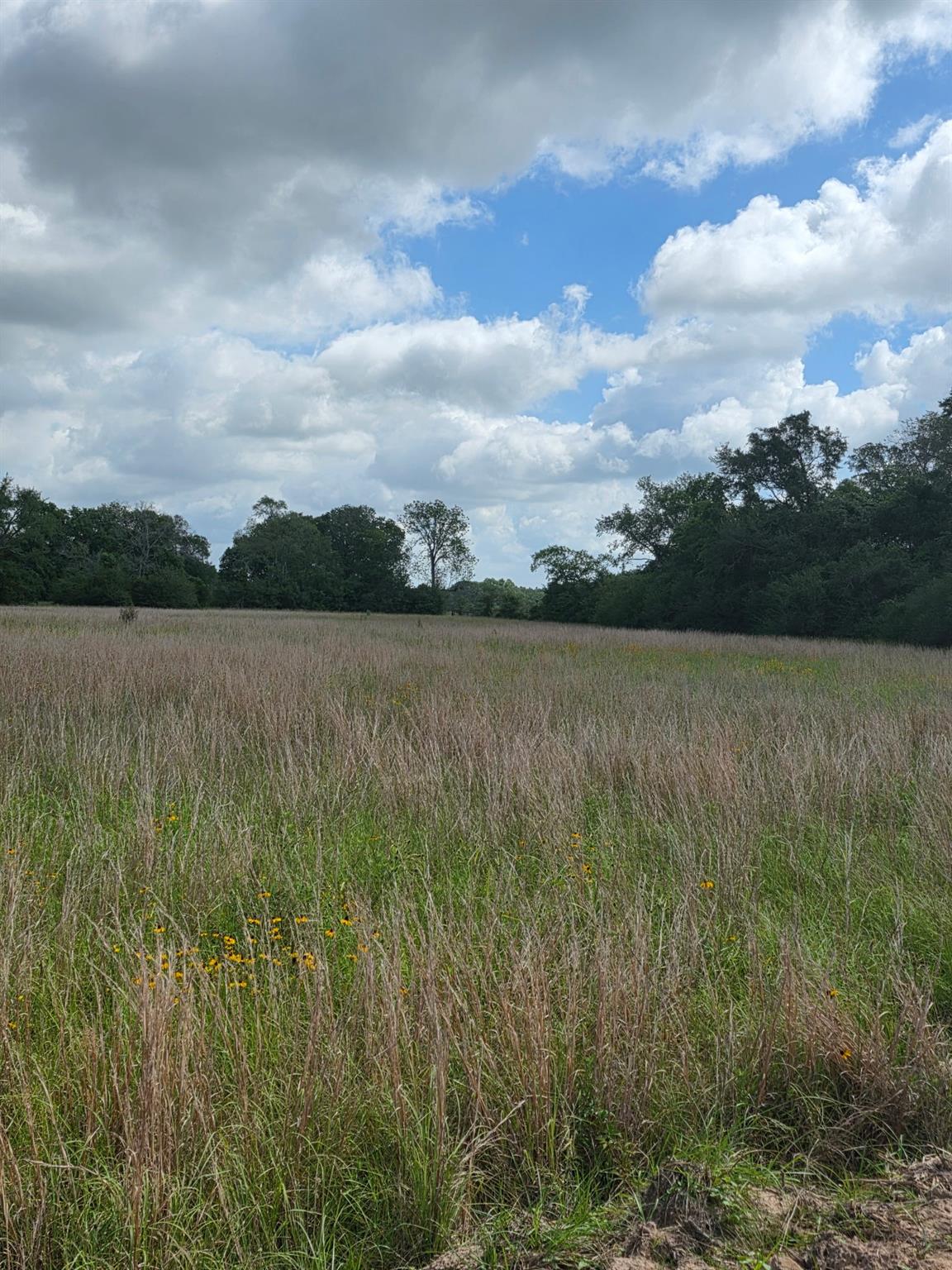 TBD LOT 1 County Road 201