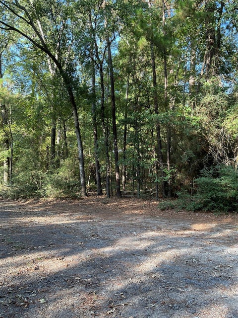 Vacant Land For Sale - Piping Rock<br/> Trinity, TX 75862