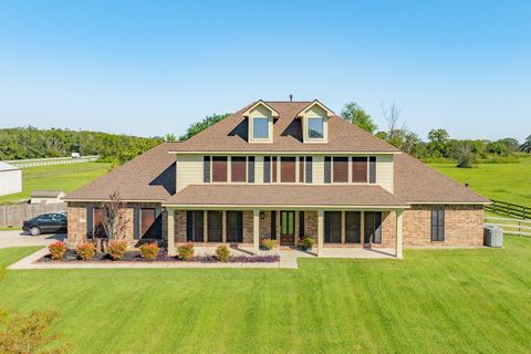 Photo of 16211 Tankersley Drive, Rosharon, TX 77583 (MLS # 20029497)