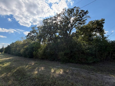 Photo of 12495 Burgess Road, Iola, TX 77861 (MLS # 72102290)