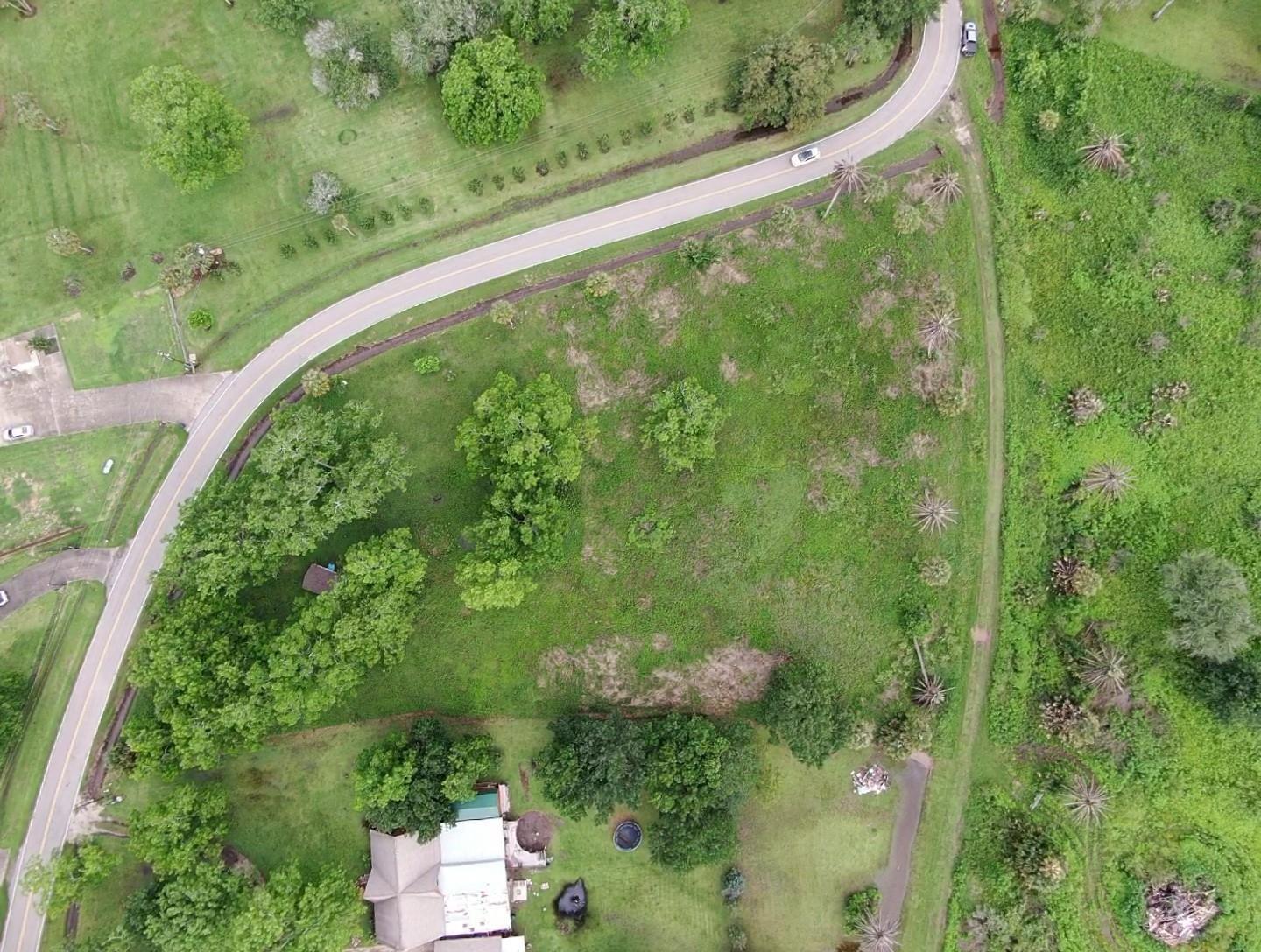 Lot 220 County Road 461 A