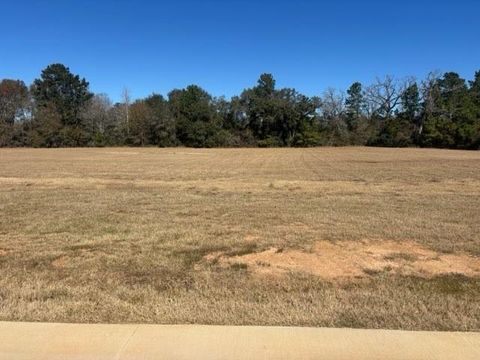 Vacant Land For Sale - 213 Hidden Oak Drive<br/> Hockley, TX 77447