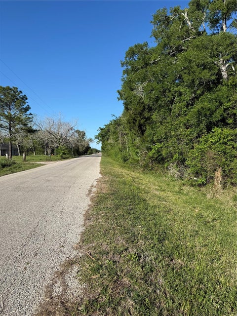 Photo of 15563 Ramblewood County Road 281 Road, Sargent, TX 77414 (MLS # 14872946)