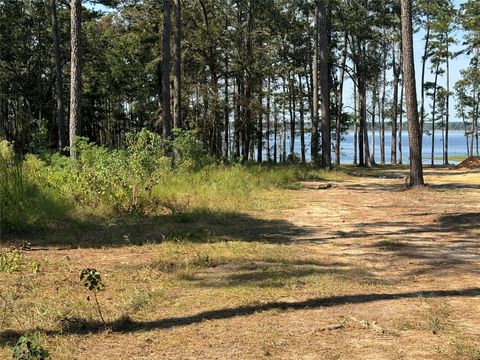 Photo of TBD 024 Private Road 6028, Brookeland, TX 75931 (MLS # 20956553)