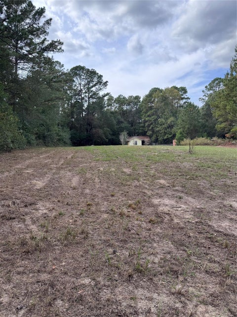 Photo of 151 Temple Street, Shepherd, TX 77371 (MLS # 87235349)