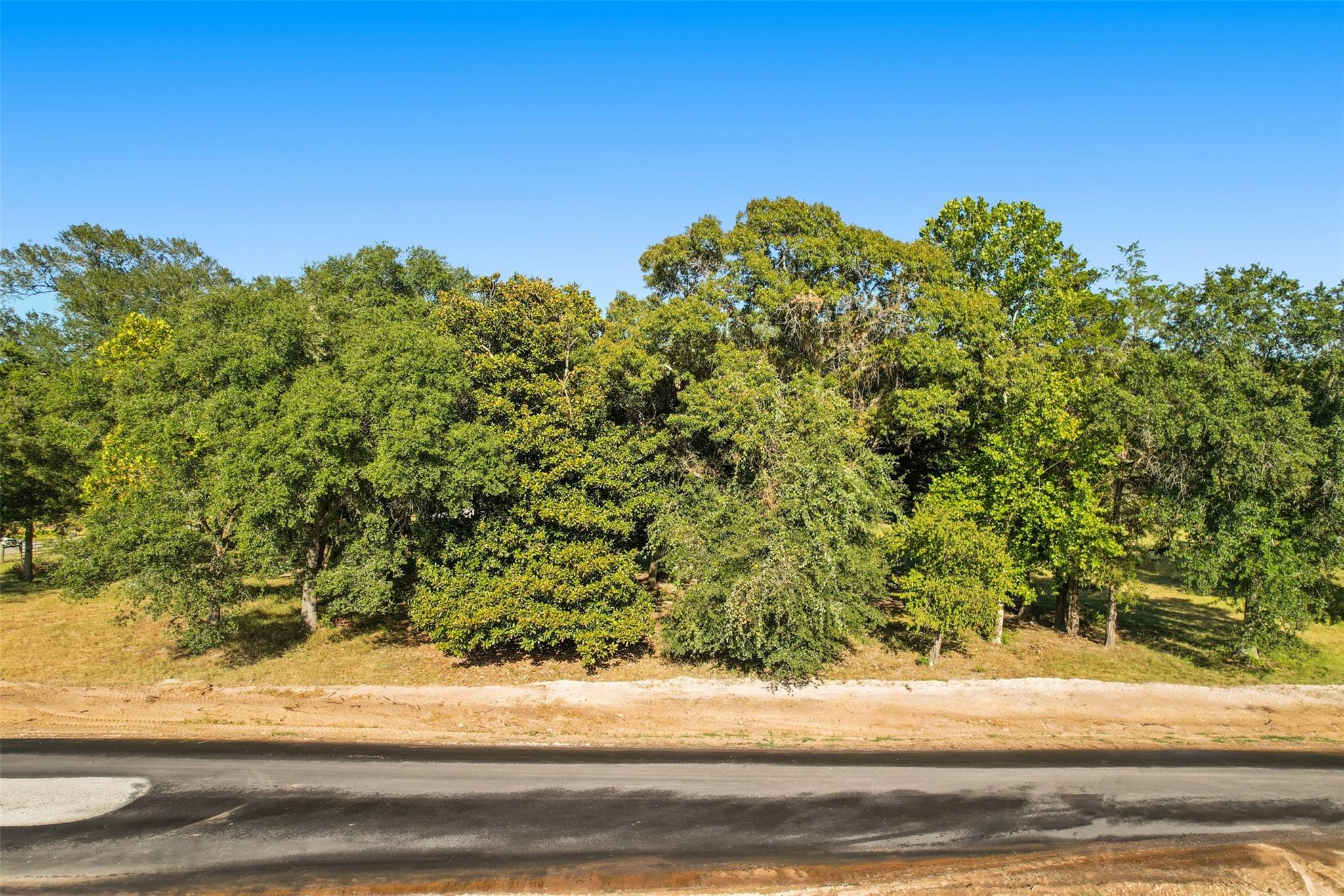 2450 Lonely Creek Circle