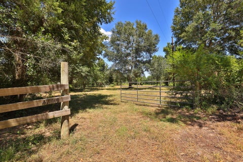 Photo of 42219 Cedar Creek Road, Hempstead, TX 77445 (MLS # 16284286)