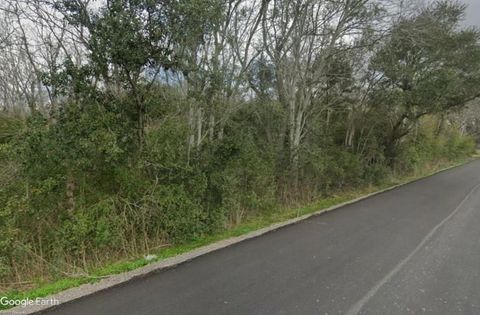 Photo of TBD Dogwood Ave, Manvel, TX 77578 (MLS # 8873396)