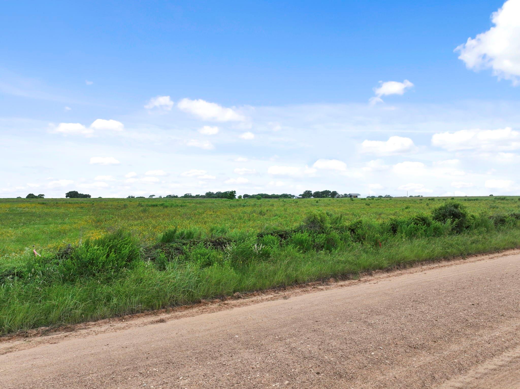 000 Tbd Meier Rd