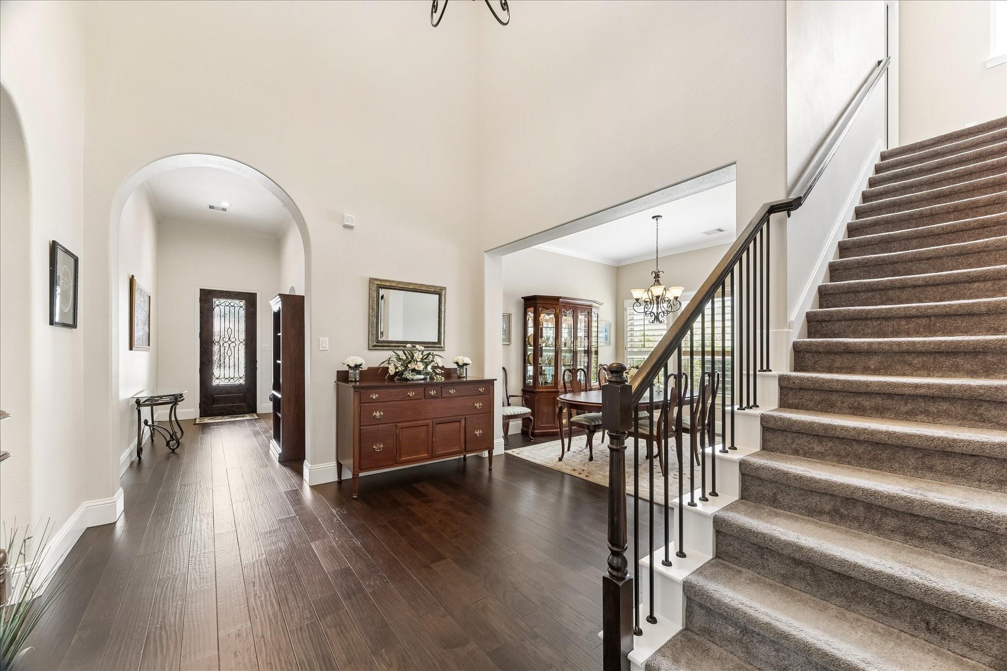 11 Willow Tree Court