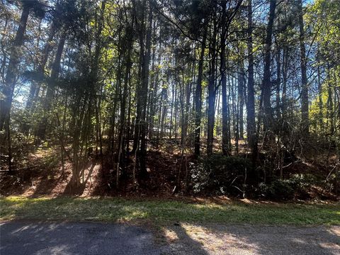 Vacant Land For Sale - 207 Green Tree Drive<br/> Coldspring, TX 77331