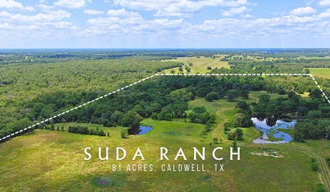 Photo of 5380 County Road 132 - 81 Acres, Caldwell, TX 77836 (MLS # 37842541)