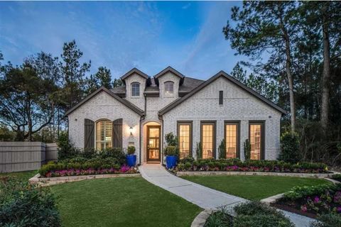 17710 Fernweh Court Conroe TX 77302