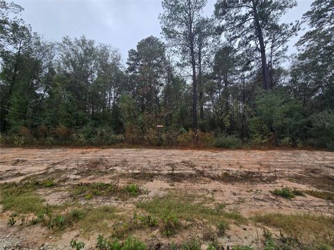 Photo of 142 Splendid Road, New Waverly, TX 77358 (MLS # 81709196)