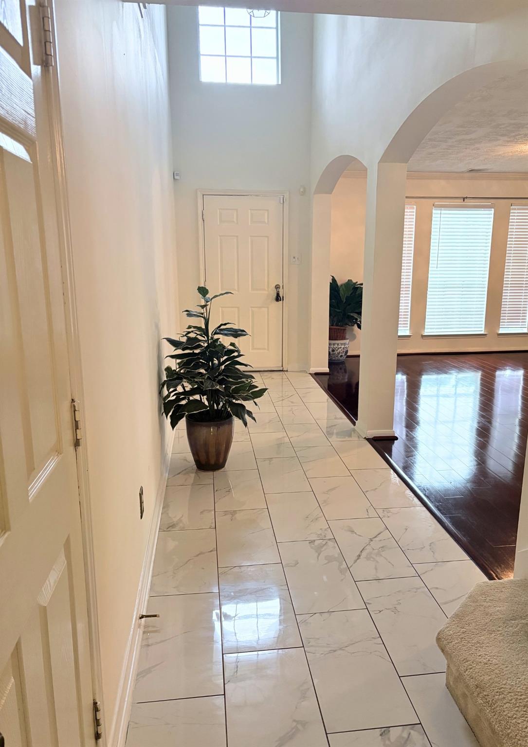 3143 Dove Cove Circle