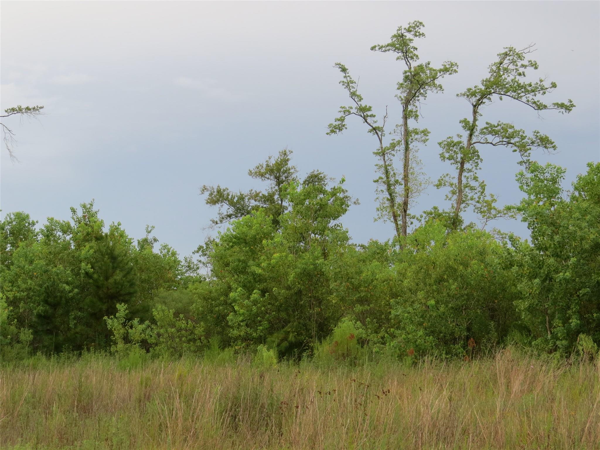 517 Road 5704