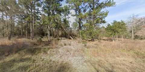 Photo of 2699 County Road 144, Bedias, TX 77831 (MLS # 66902177)