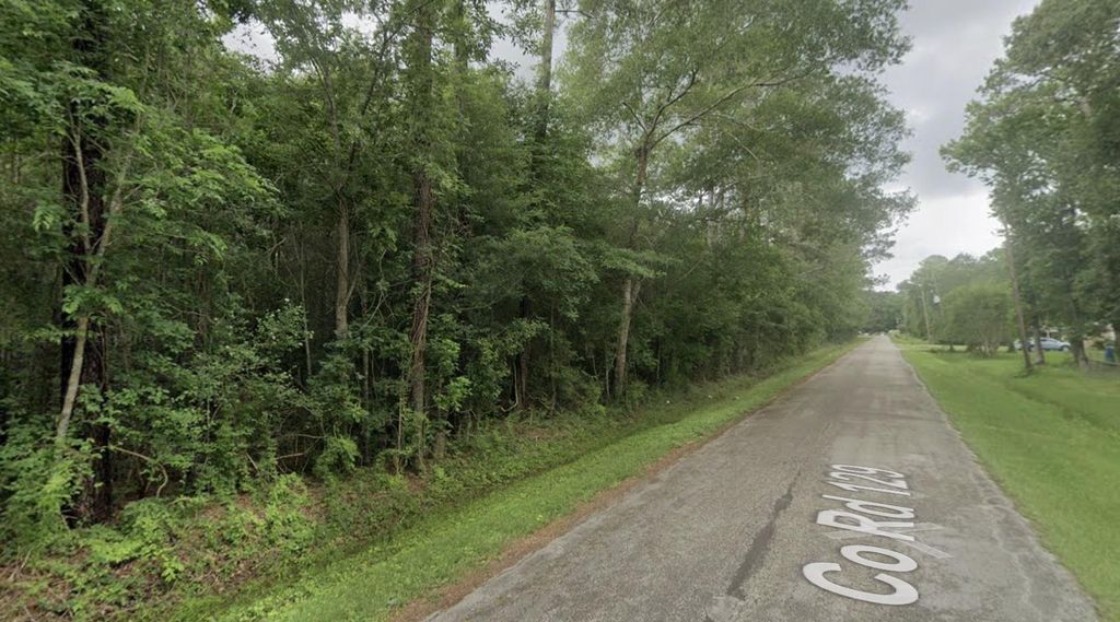 Photo of 2 County Road 129, Liberty, TX 77575 (MLS # 34097664)