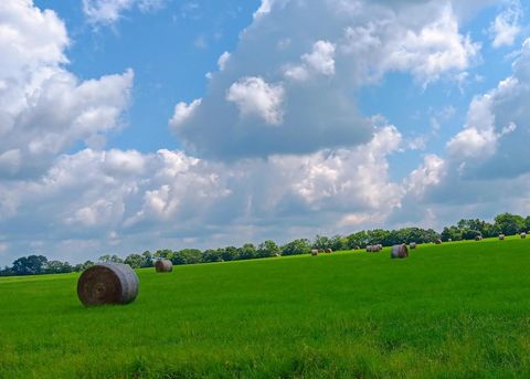 Photo of 24 Fm 2915, Lovelady, TX 75851 (MLS # 40266755)