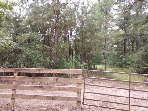 Photo of 811 Plantation Drive, Livingston, TX 77351 (MLS # 81019577)