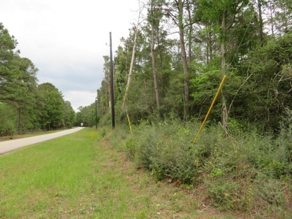 Photo of 23110 Glenmont Estates Boulevard, Magnolia, TX 77355 (MLS # 94895242)