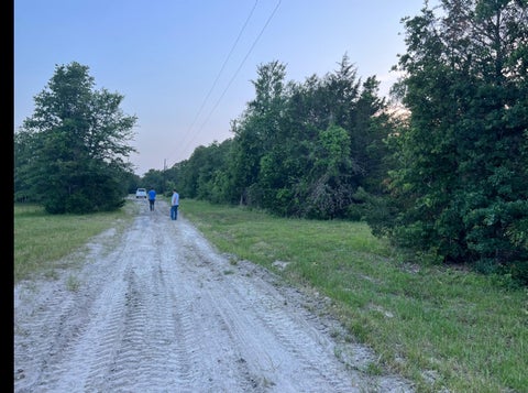 Photo of 21564 Harrison Drive, Bedias, TX 77831 (MLS # 2566817)