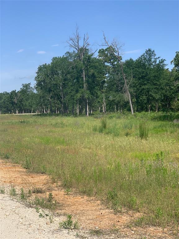 Lot 19 County Rd 389