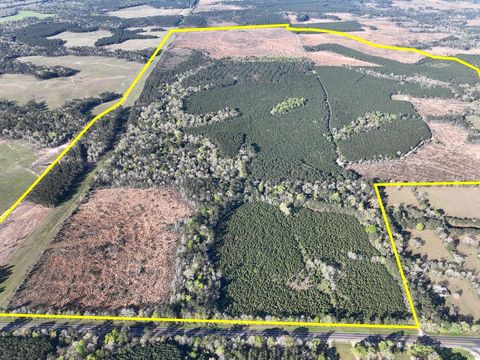 Photo of 2 Highway 146, Livingston, TX 77351 (MLS # 59448868)