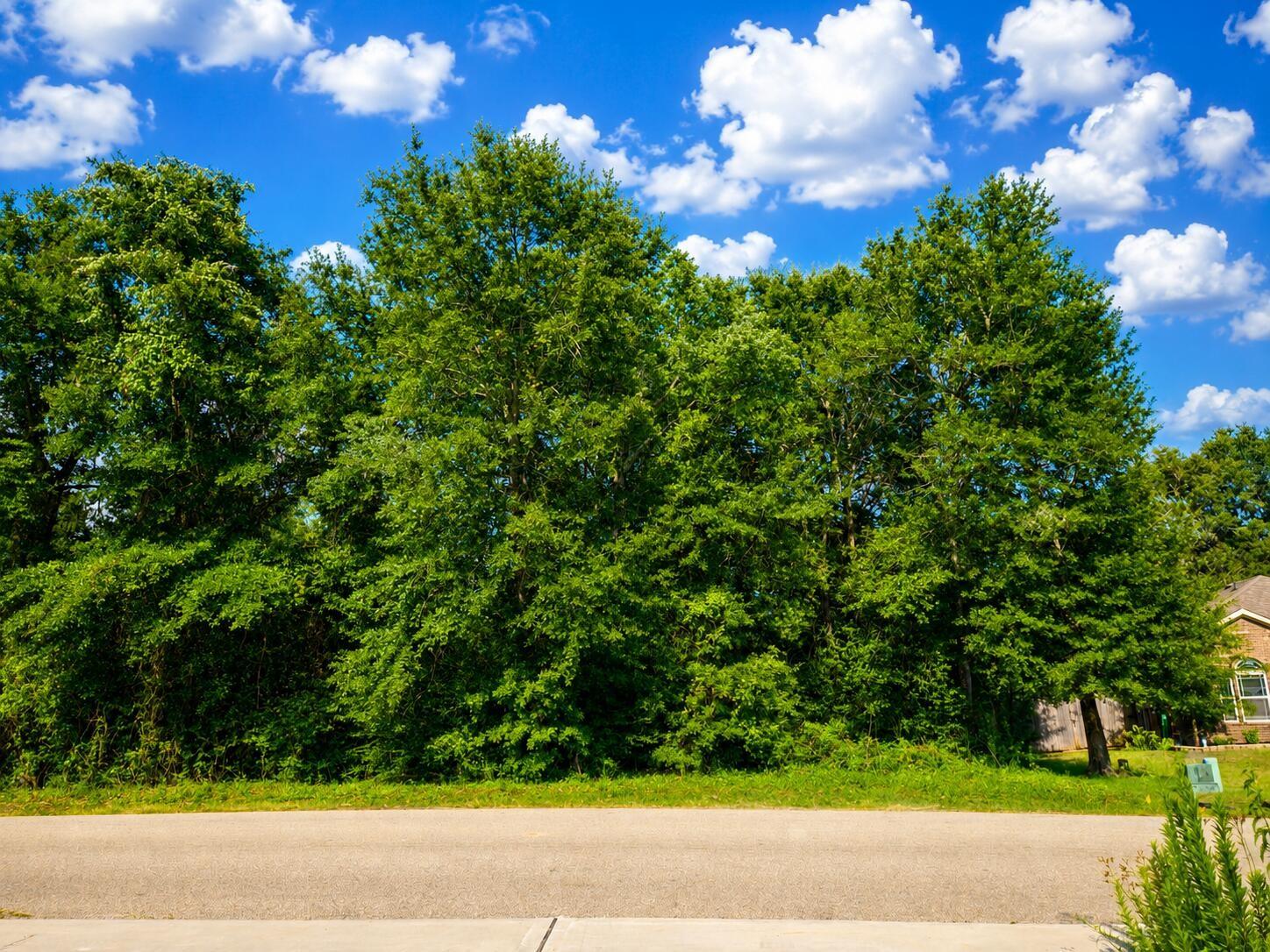 12294 Lake Conroe Hills