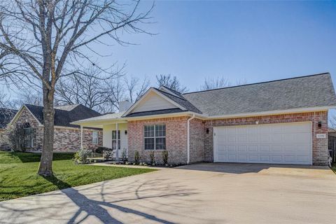 12551 Lake Conroe Hills Dr Willis TX 77318