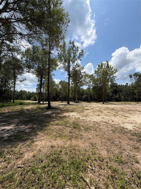Photo of 0 Lawrence Road, Orange, TX 77630 (MLS # 28769463)