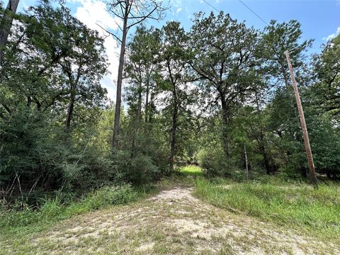 Photo of 152 Nottingham Circle, Hockley, TX 77447 (MLS # 11216641)