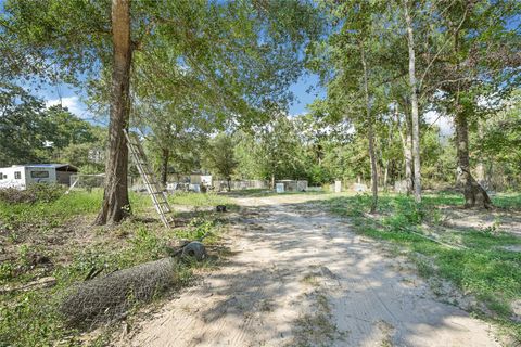 Photo of 157 Jim Browder, New Waverly, TX 77358 (MLS # 19310781)