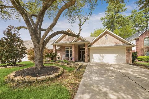 1110 Arden Forest Drive Spring TX 77379