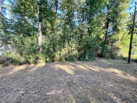 0 Kickapoo Trail Willis TX 77378