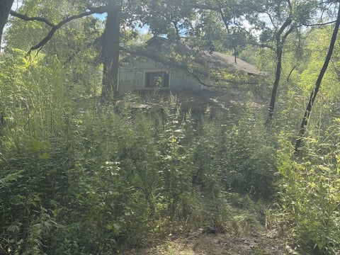 Photo of 10 Neuman Street, Coldspring, TX 77331 (MLS # 13866899)