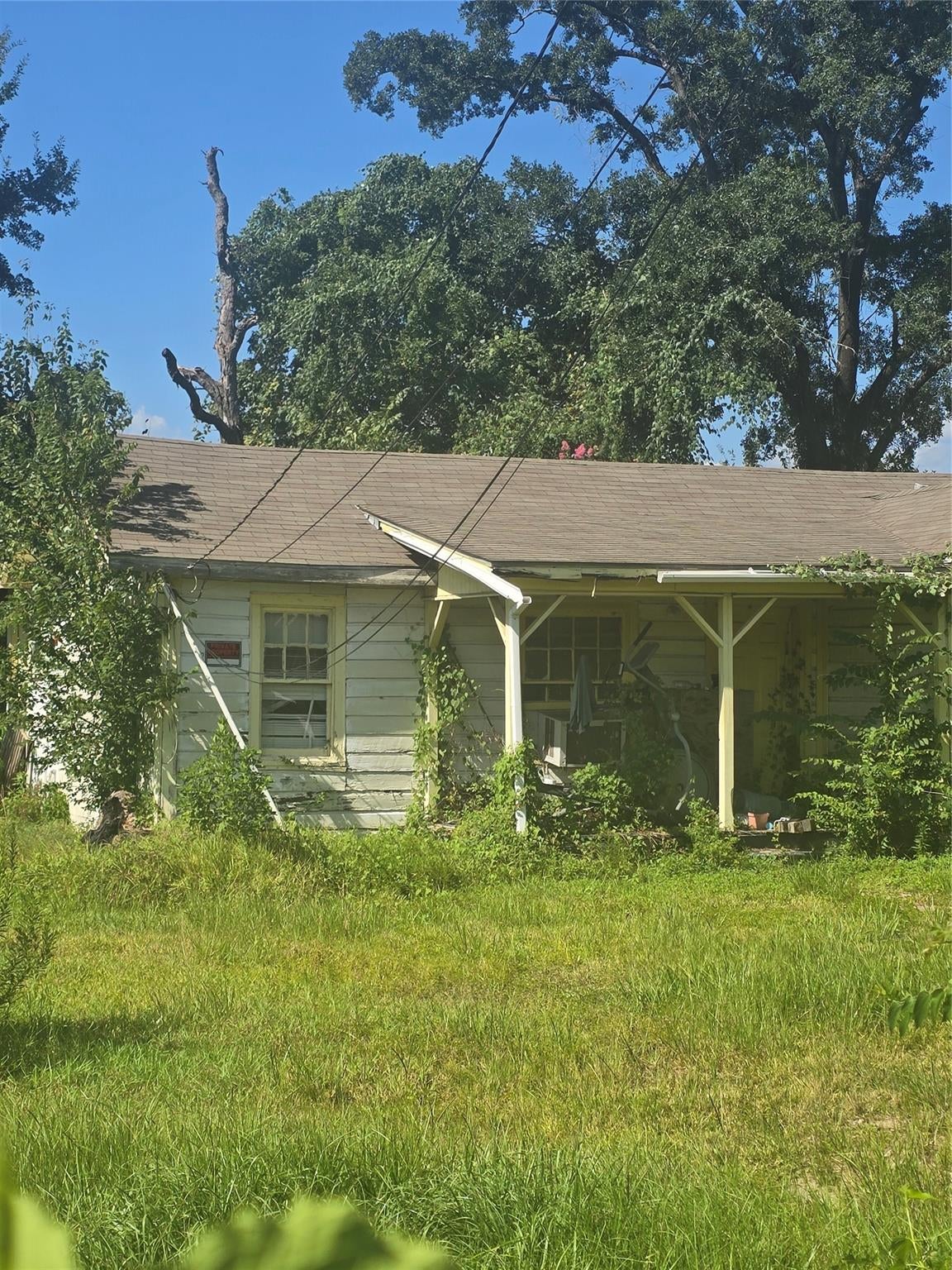 4815 Antha Street - Photo 2