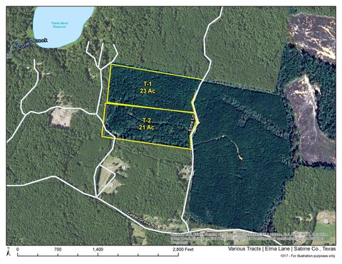 Vacant Land For Sale - 01 Elma Lane<br/> Sabine County, Milam, TX 75948