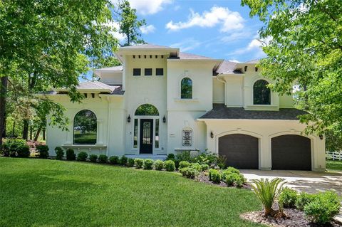 Photo of 8912 Forest Lake Drive, Montgomery, TX 77316 (MLS # 38208935)