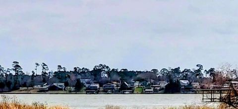 129 Lakeshore N Onalaska TX 77360