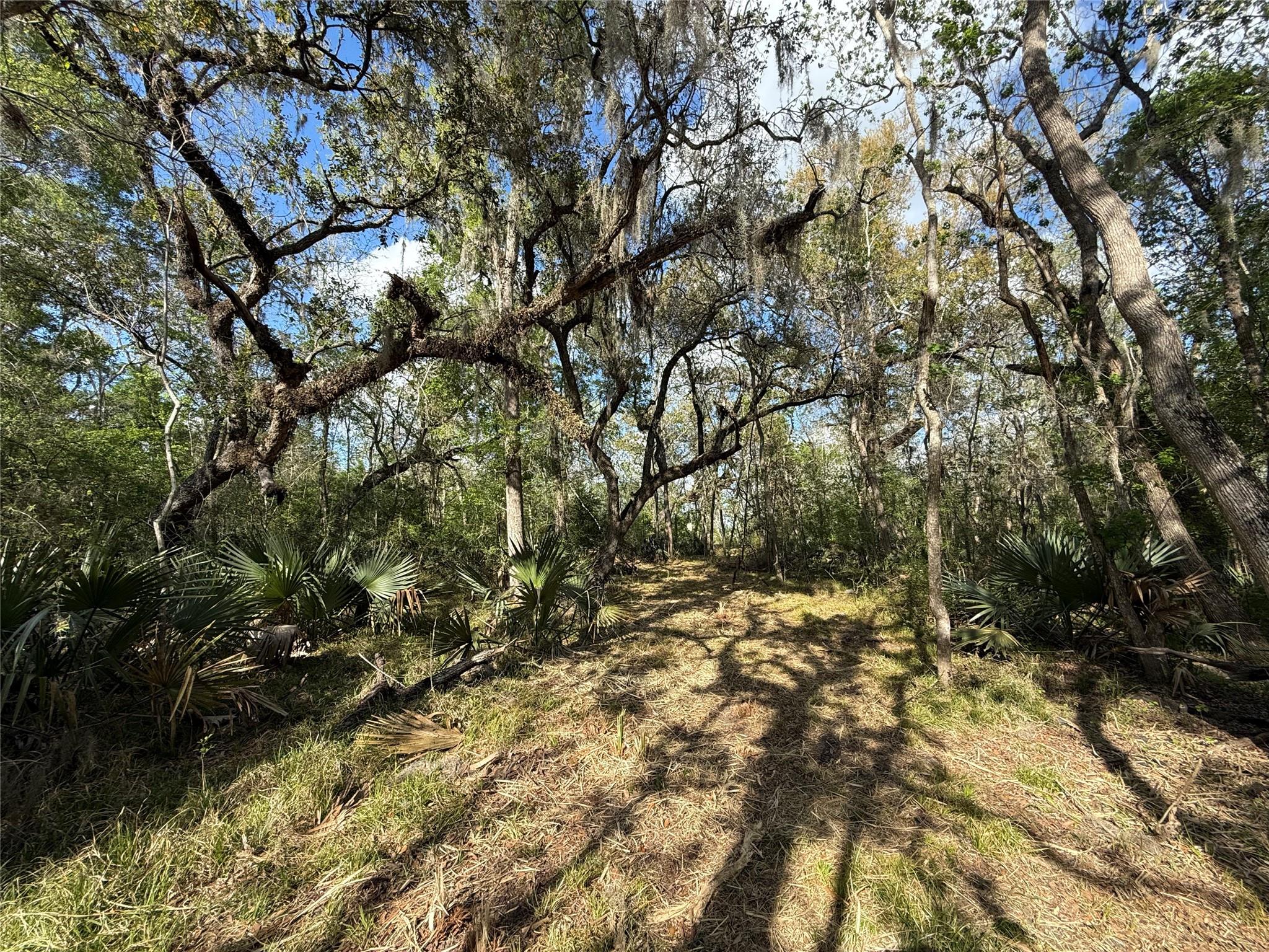 Tract 2 County Road 332