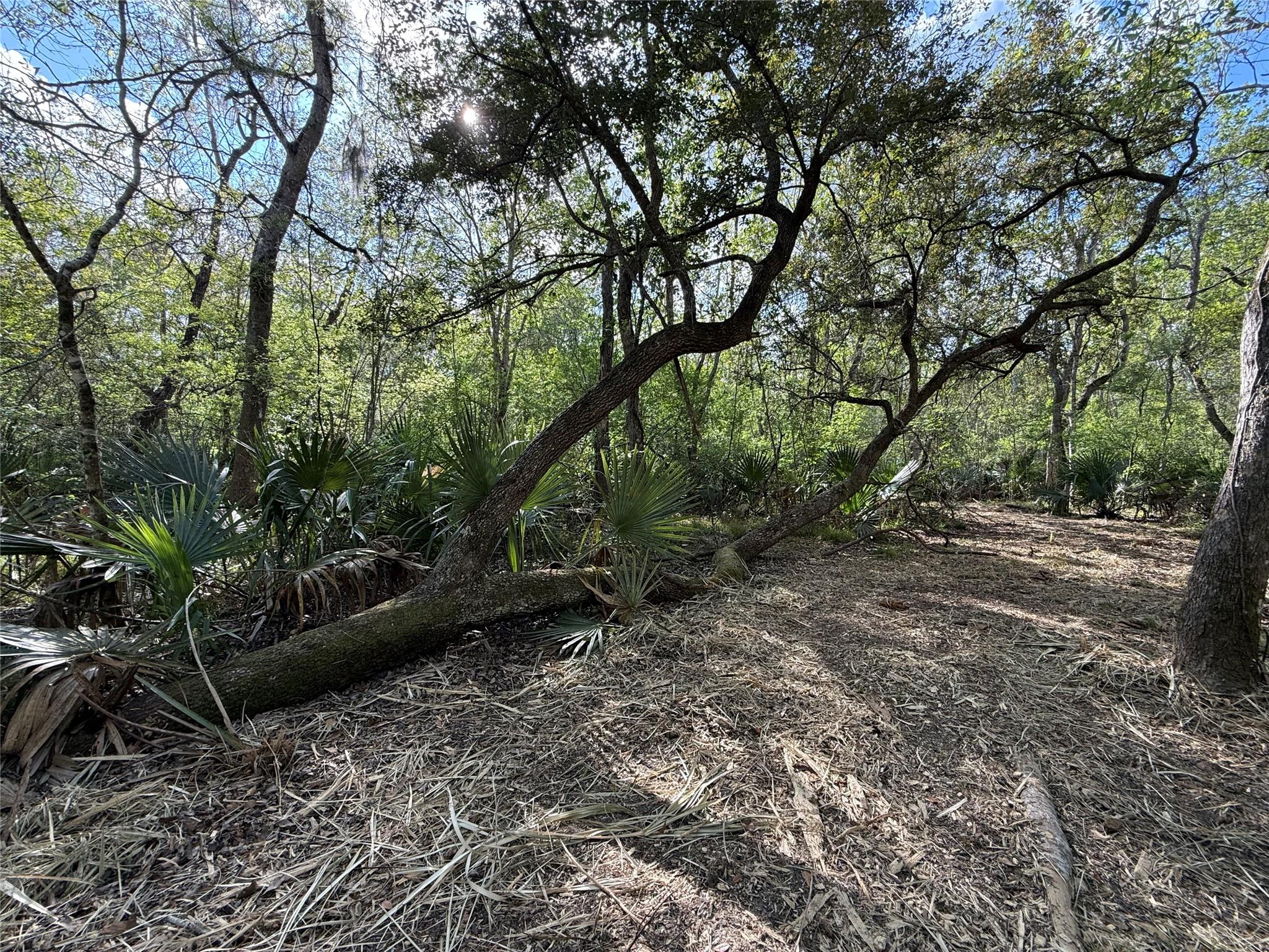 Tract 2 County Road 332