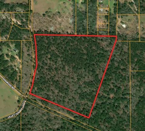 Photo of 31 Lilley Yeager Loop N, Cleveland, TX 77328 (MLS # 74805442)