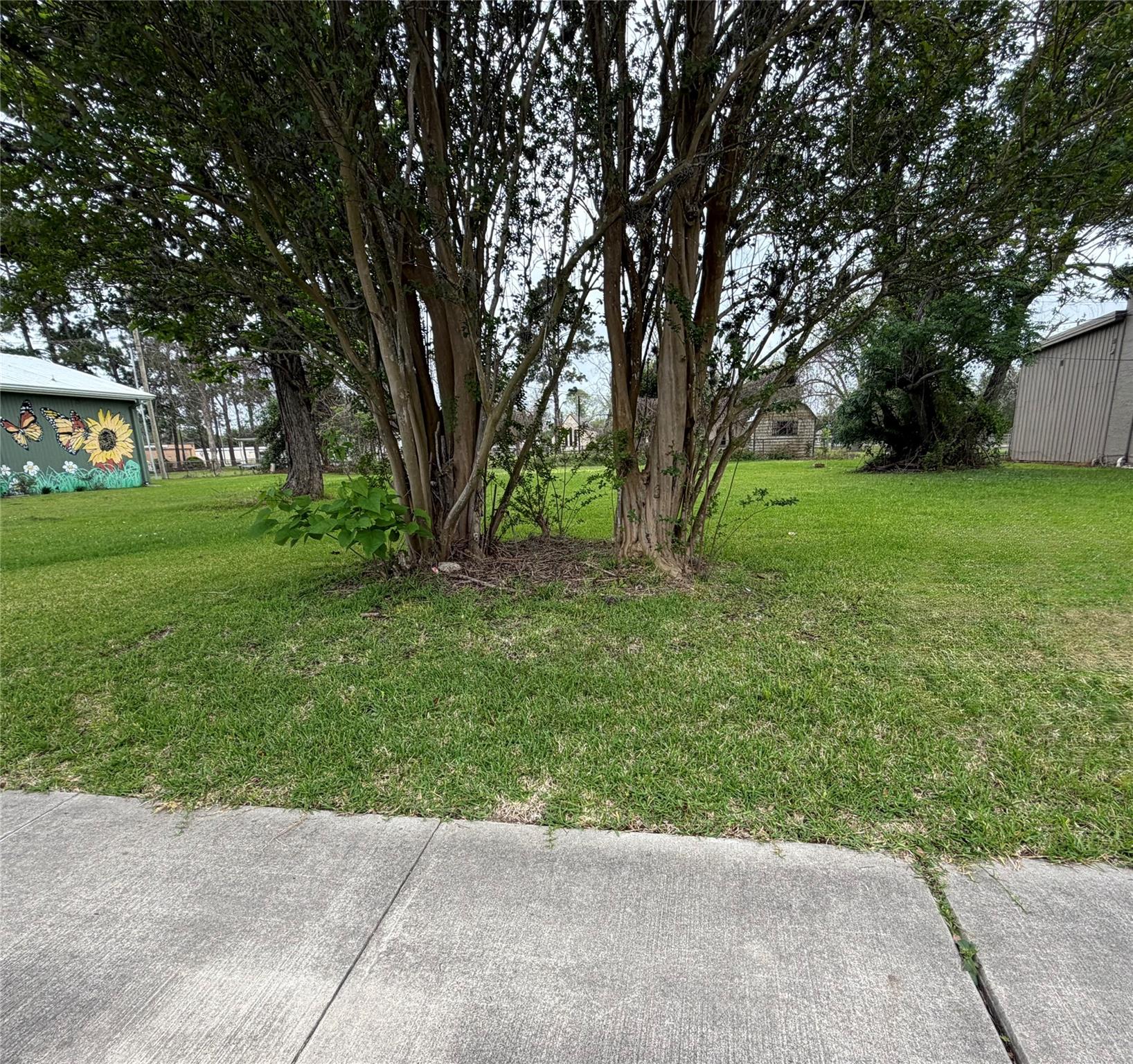 221 E Brazos Avenue